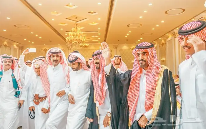 مصور تجاري محترف 2