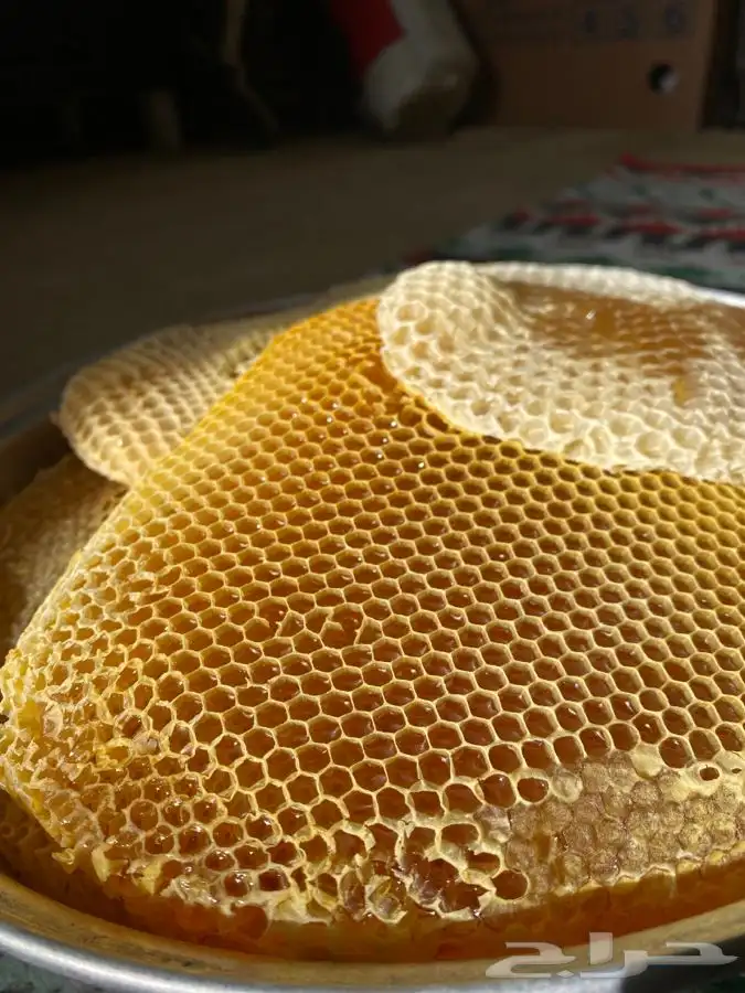 عسل سمر طلح مع سدر شمع وصافي 6