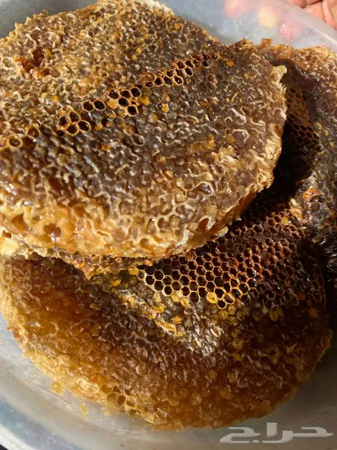 عسل سمر طلح مع سدر شمع وصافي 8