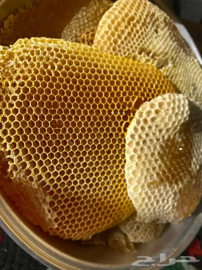عسل سمر طلح مع سدر شمع وصافي 9