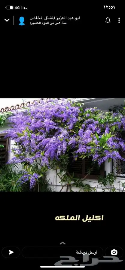 شتلات واشجار باسعار طيبه 6