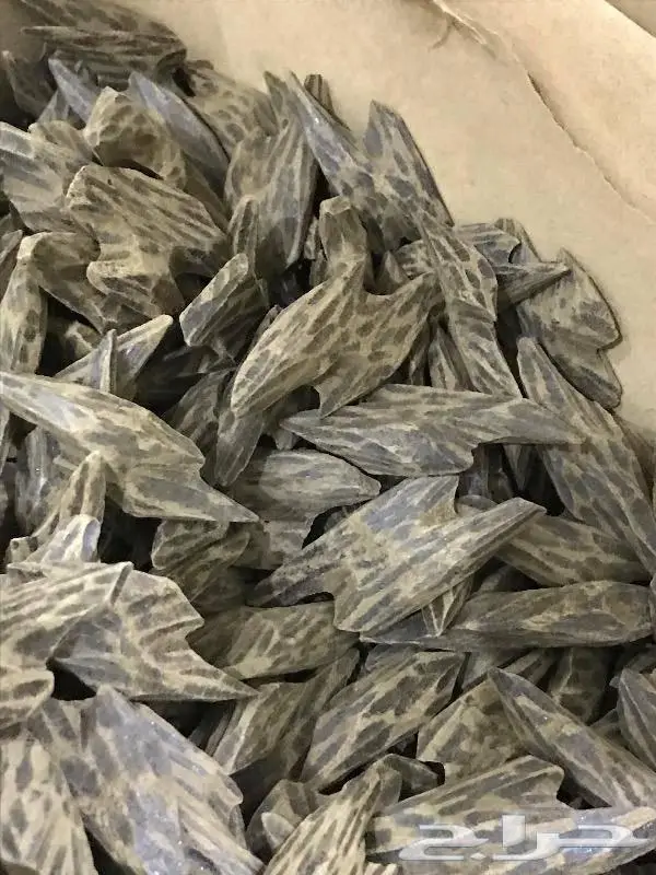 عود كمبودي تايقر.جمله 1