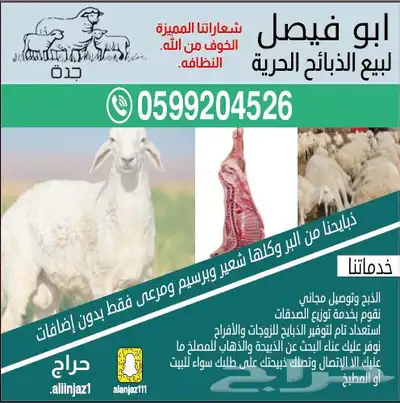 ذبايح حريه من البر مع الذبح والتوصيل الى منزلك 0