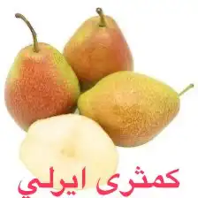 شتلات تين مضمون من أفظل الانواع 7