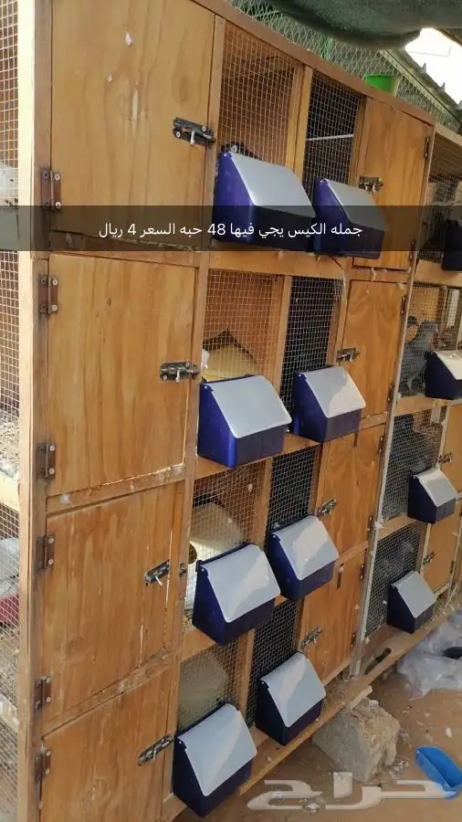 سقايات معالف طيور 6