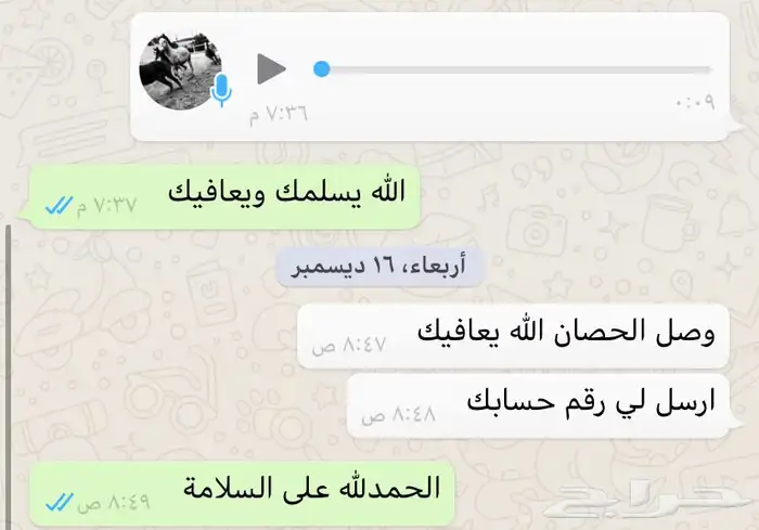 عربة نقل خيل 5 روس للتوصيل 4