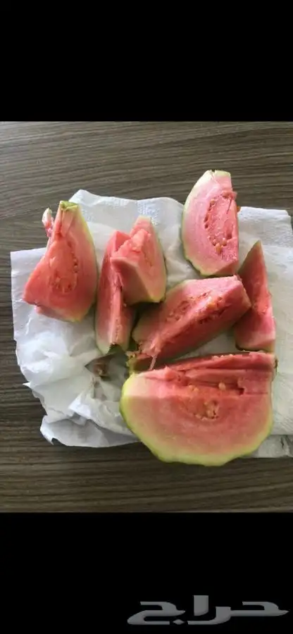 شتلات بلدي منتجه 6