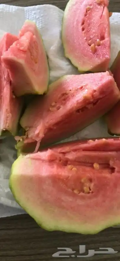 شتلات بلدي منتجه 5