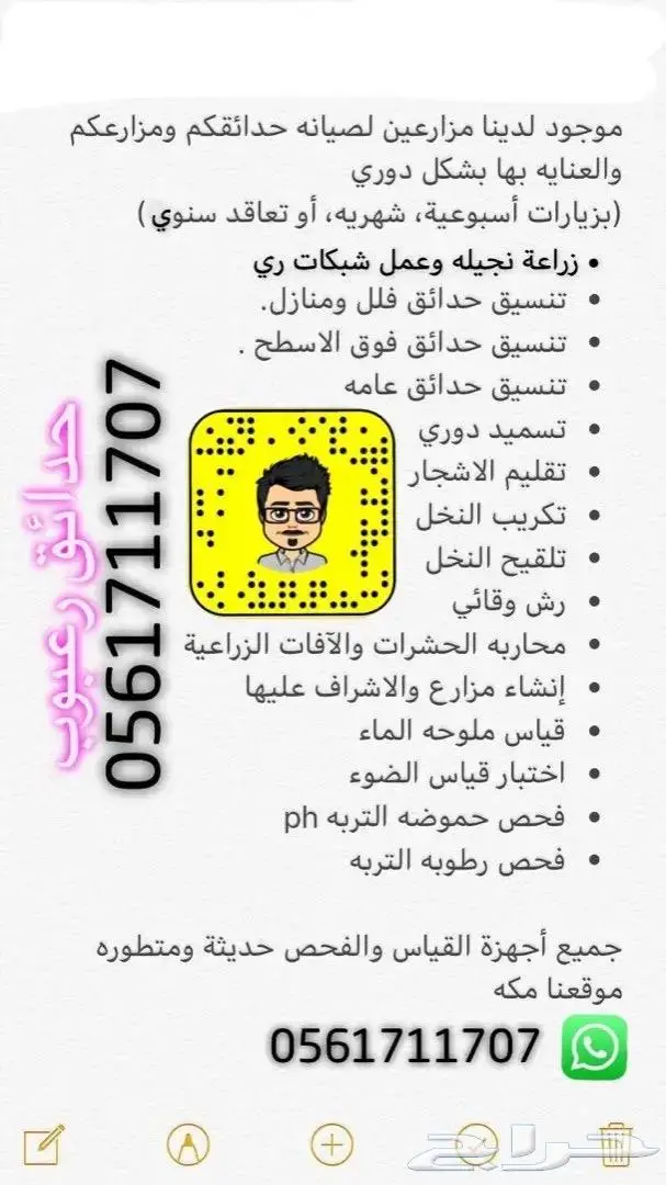 تكريب وتلقيح النخل 14