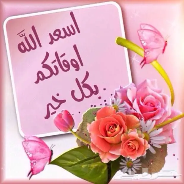 حلا راقي أندلسي تخفيضات 11