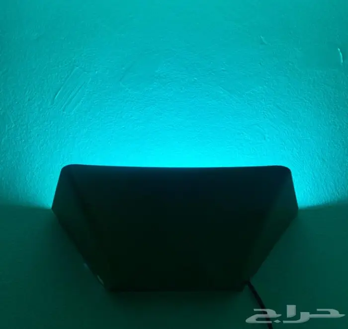 مصيدة حشرات جداريه 6