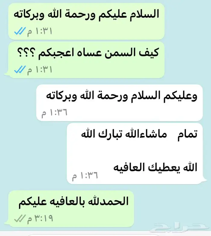 سمن معزا وزبده معزا 14