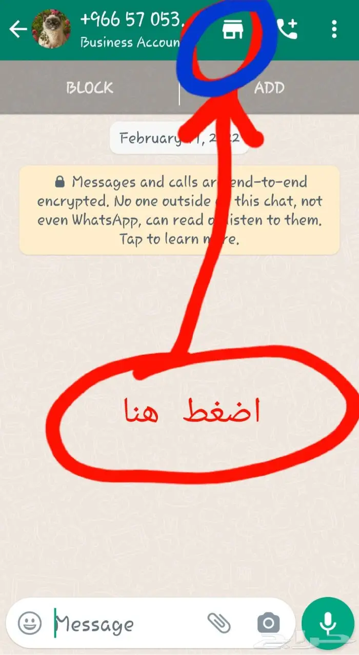 مستلزمات قطط خداشات و ألعاب و رمل 8