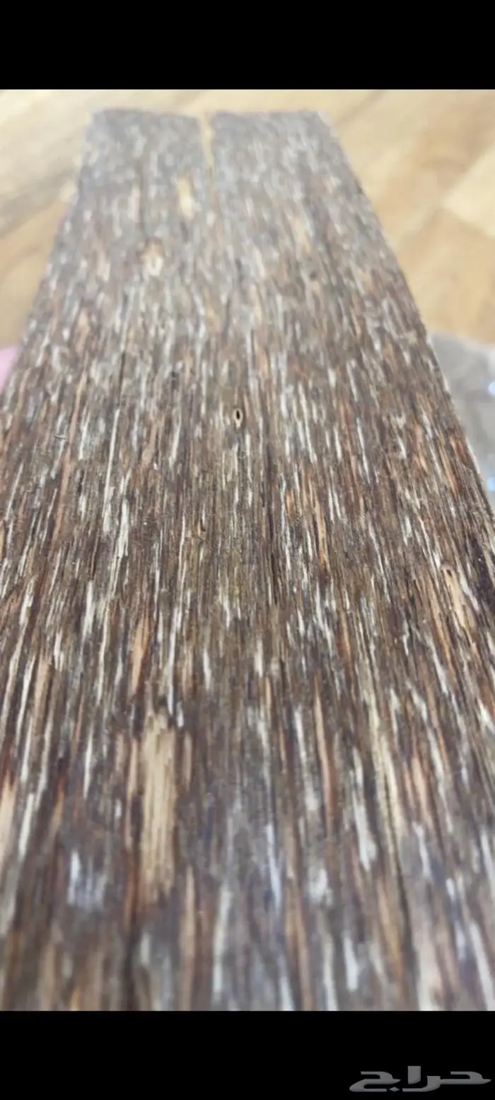 رقايق فيتنامي 3