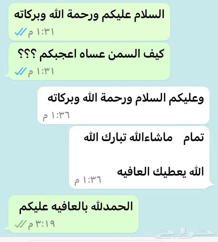سمن ماعز وزبده ماعز 6