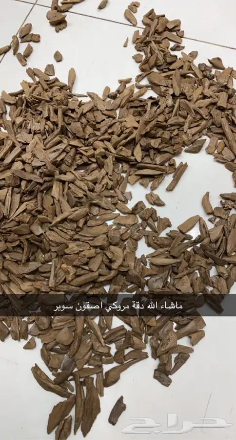 مروكي كنق بيور جملة الجملة 2