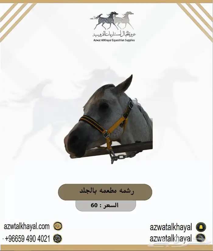 طقم سرج ستيتوس مخمل ب 810 ( مستلزمات خيل حصان ) عندنا اقساط 25