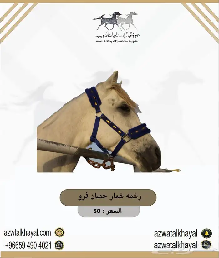 طقم سرج ستيتوس مخمل ب 810 ( مستلزمات خيل حصان ) عندنا اقساط 24