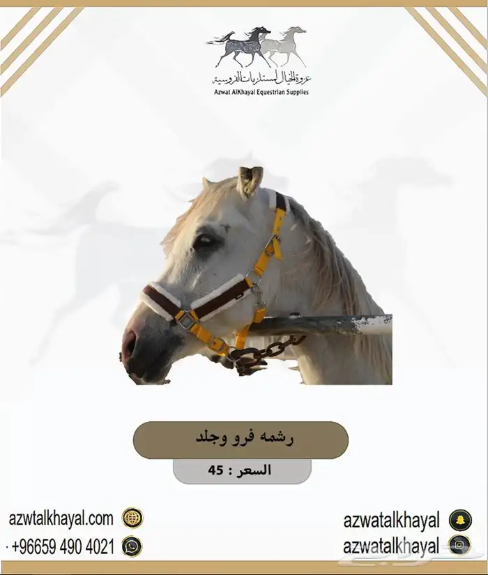 طقم سرج ستيتوس مخمل ب 810 ( مستلزمات خيل حصان ) عندنا اقساط 10