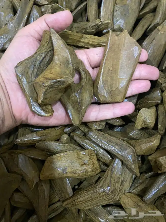عرض خاص عود مروكي محسن فاخر دبل سوبر بيور 0