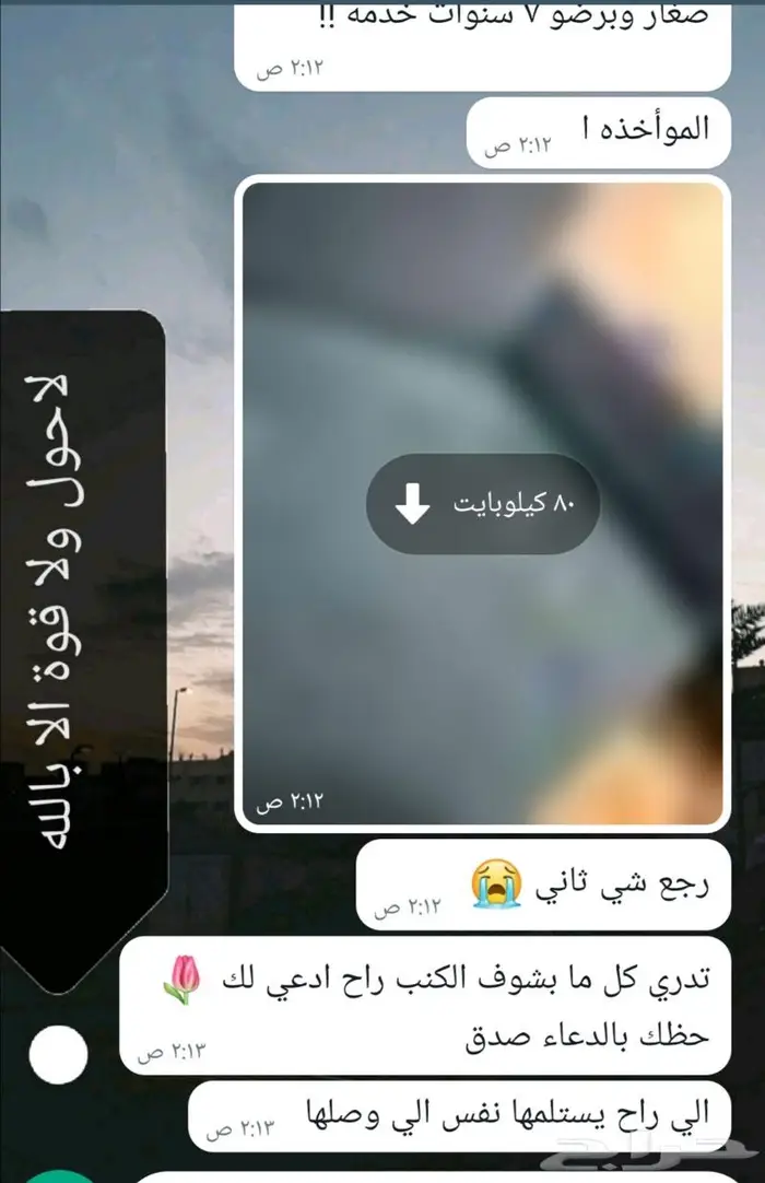 تأجير مكنسة غسيل السجاد والكنب والستائر والسيراميك والنوافد 3