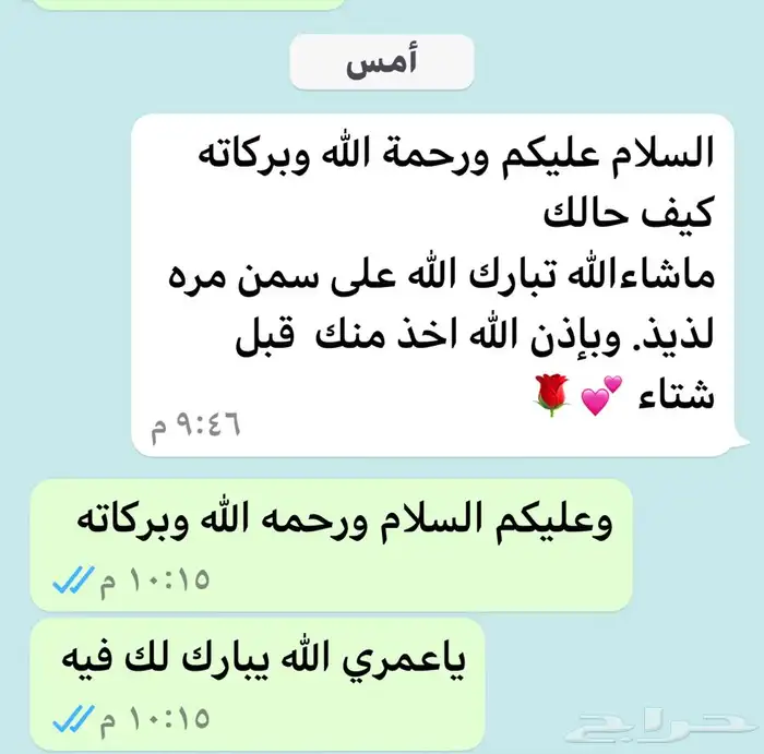 سمن معزا ابيض وزبده معزا 26