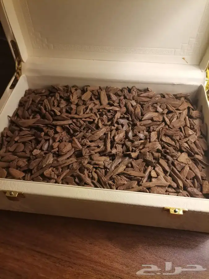 مروكي اصقون سوبر جملة 4600 للكيلو 11