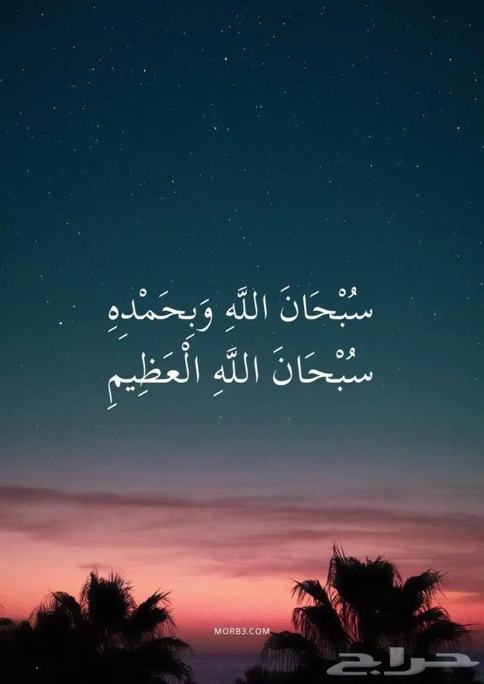 تنفيذ الشيلات وكتابة القصائد 0