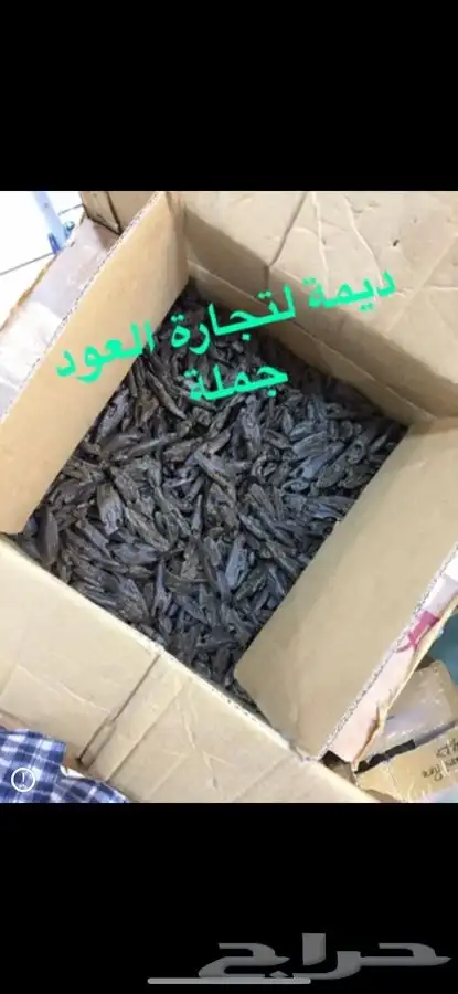 الكلمنتان الازرق بيور 1200 للكيلو 9