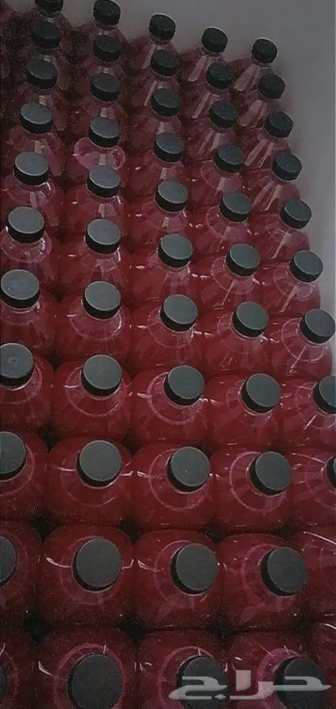سوبيا البابوري 25