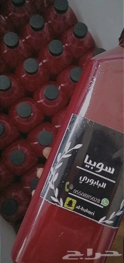 سوبيا البابوري 26