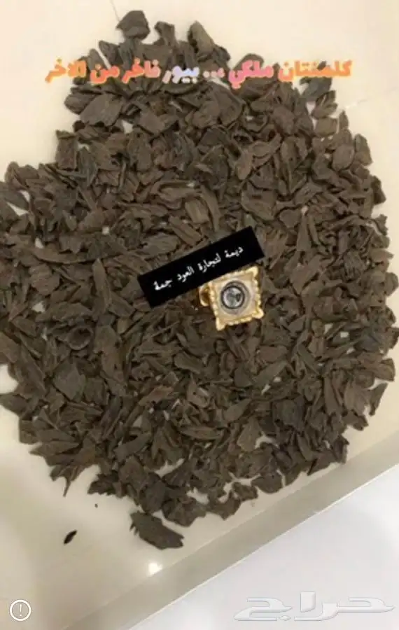 الكلمنتان الازرق بيور 1200 للكيلو 8