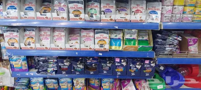 للبيع طيور حب كناري زيبرا بادجي قمري دره روز 14