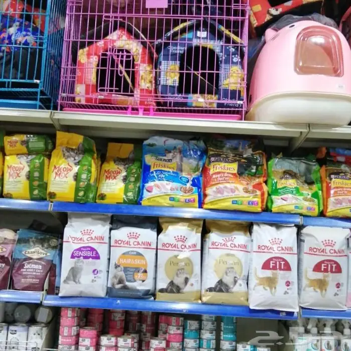 أرانب للبيع نوادر خميس مشيط 3