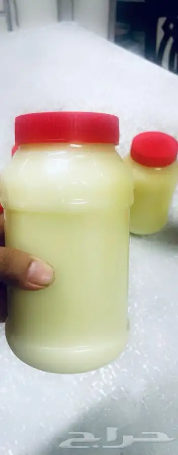 سمن معزا وزبده معزا 1