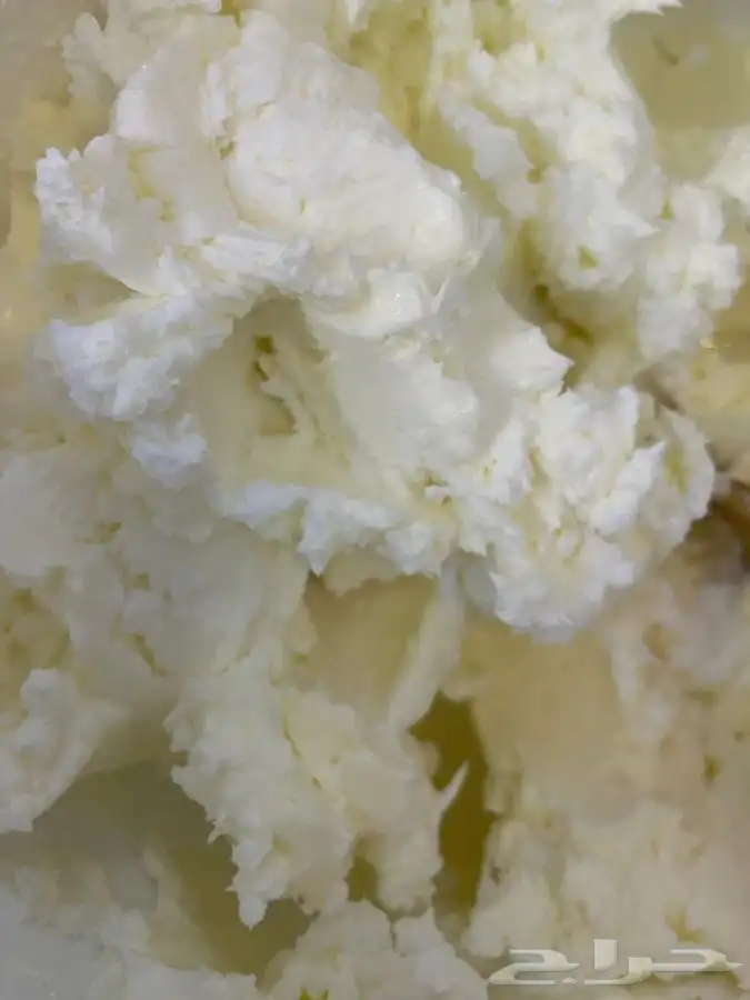 سمن معزا وزبده معزا 19