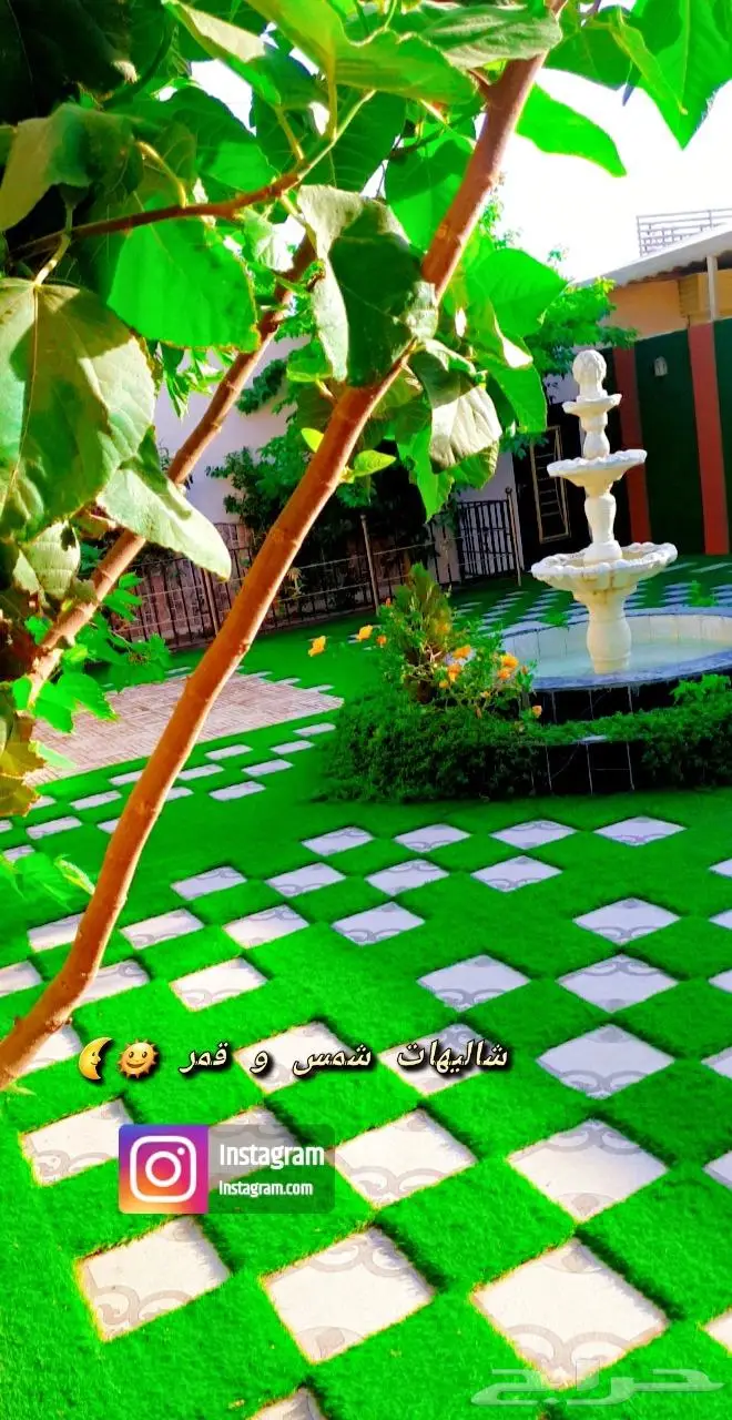 شاليهات شمس و قمر بالطائف 28
