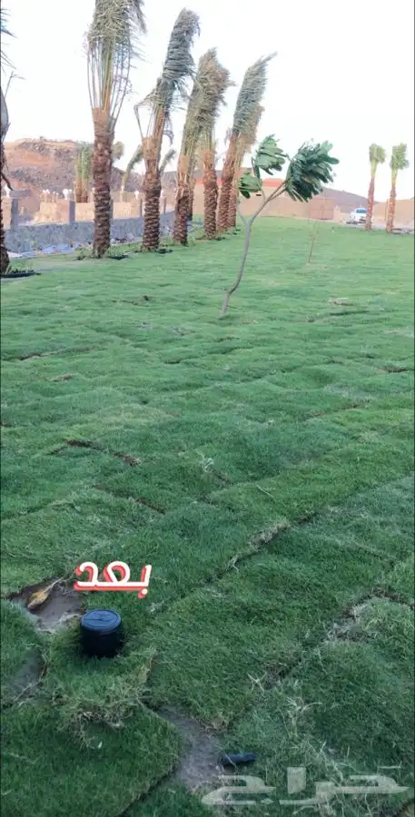 مشاتل البساتين . 15