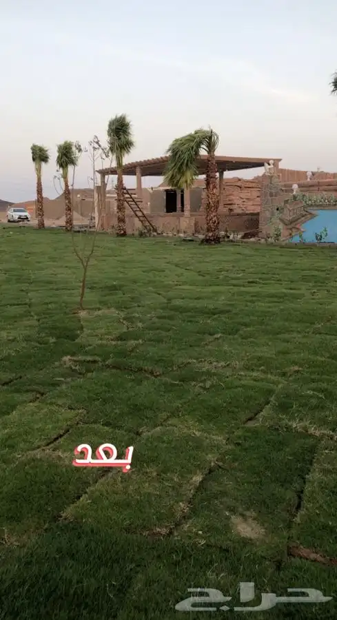 مشاتل البساتين . 13