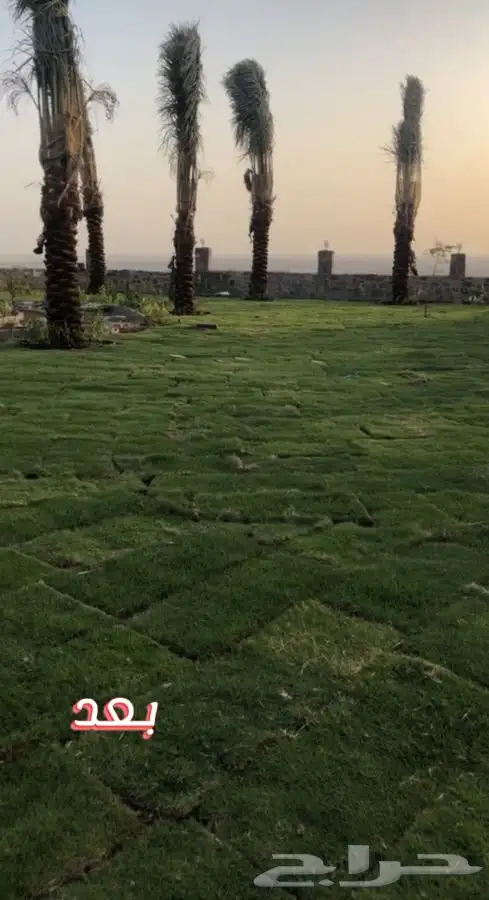 مشاتل البساتين . 22