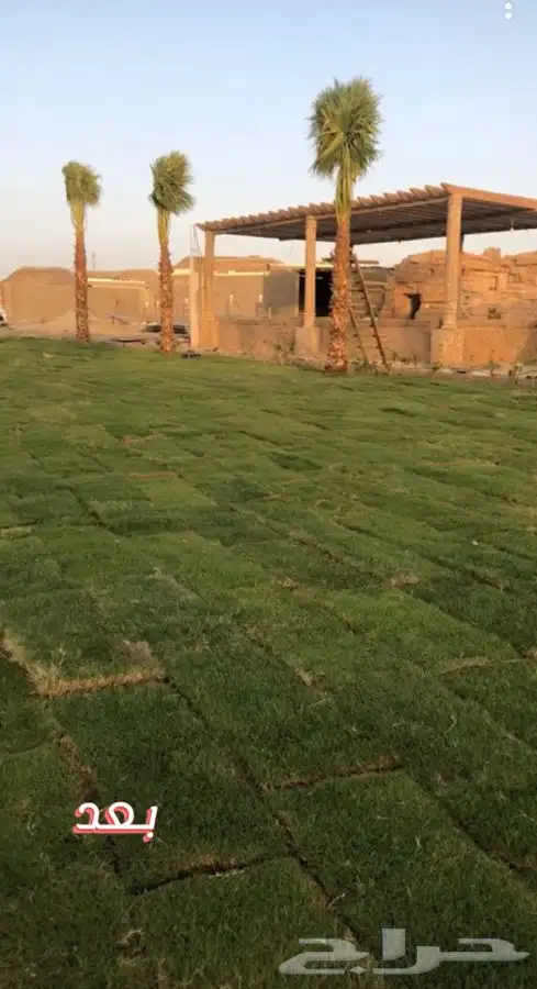مشاتل البساتين . 19