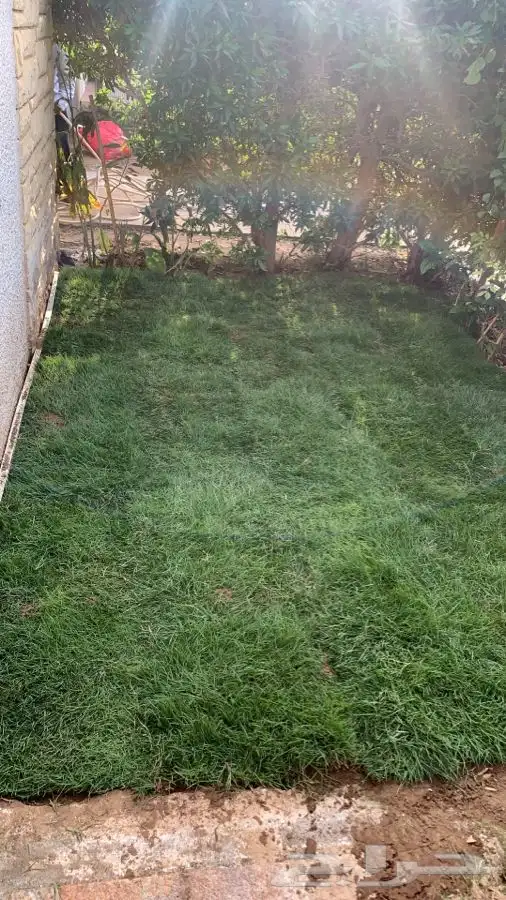 مشاتل البساتين . 33