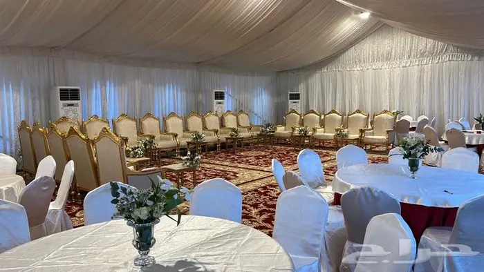 سجاد وكراسي ملكي وسجاد الخزامى البنفسجي للتأجير بجدة 2