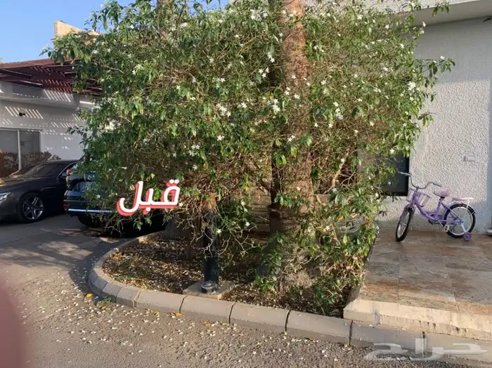 مشاتل البساتين . 2