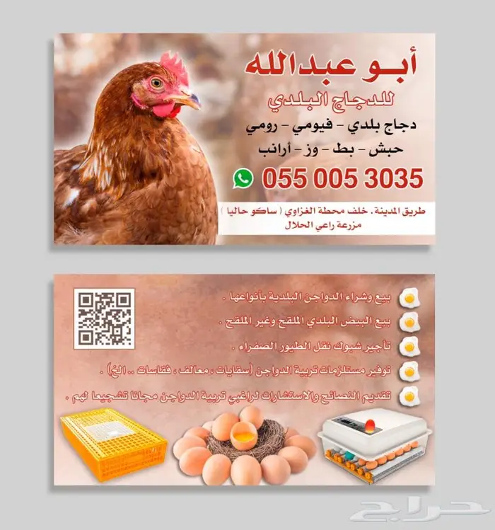 ايجار اقفاص شبوك صفر لنقل الدجاج والحمام 3