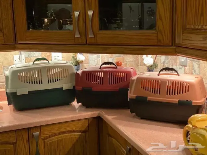 صناديق لنقل الكلاب الصغيرة والقطط جديدة جودة عالية 3