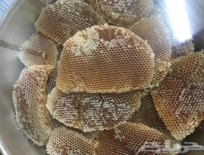 عسل السدره الجبلي وعسل سمر وعسل متزوجين وطلحه 8