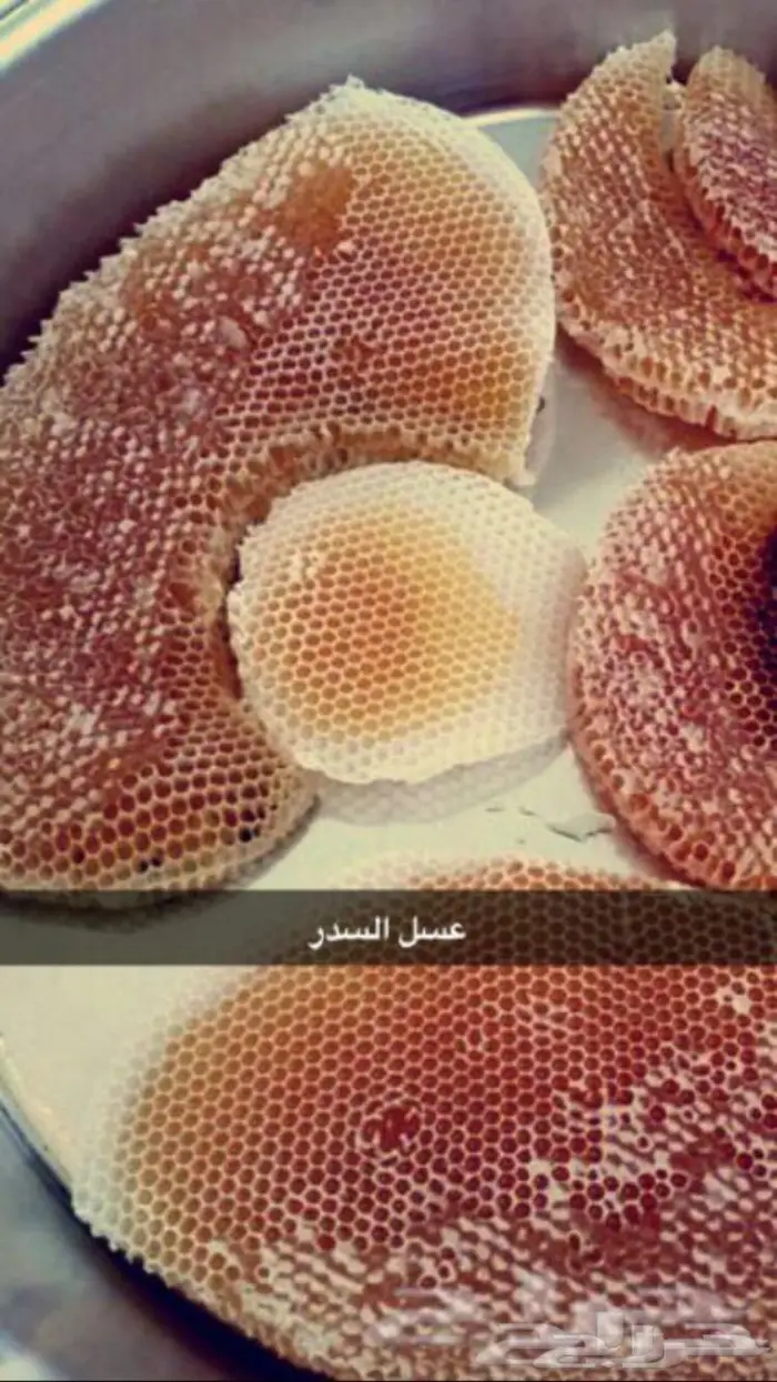 عسل السدره الجبلي وعسل سمر وعسل متزوجين وطلحه 6