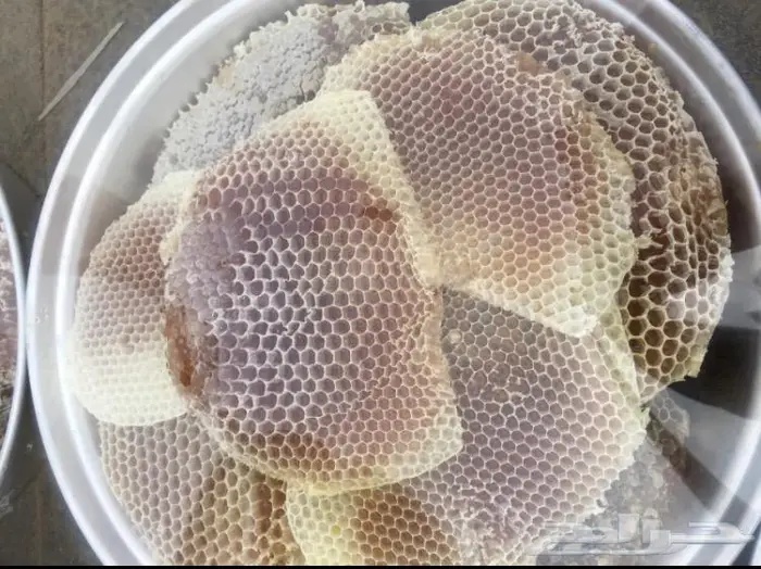 عسل السدره الجبلي وعسل سمر وعسل متزوجين وطلحه 9