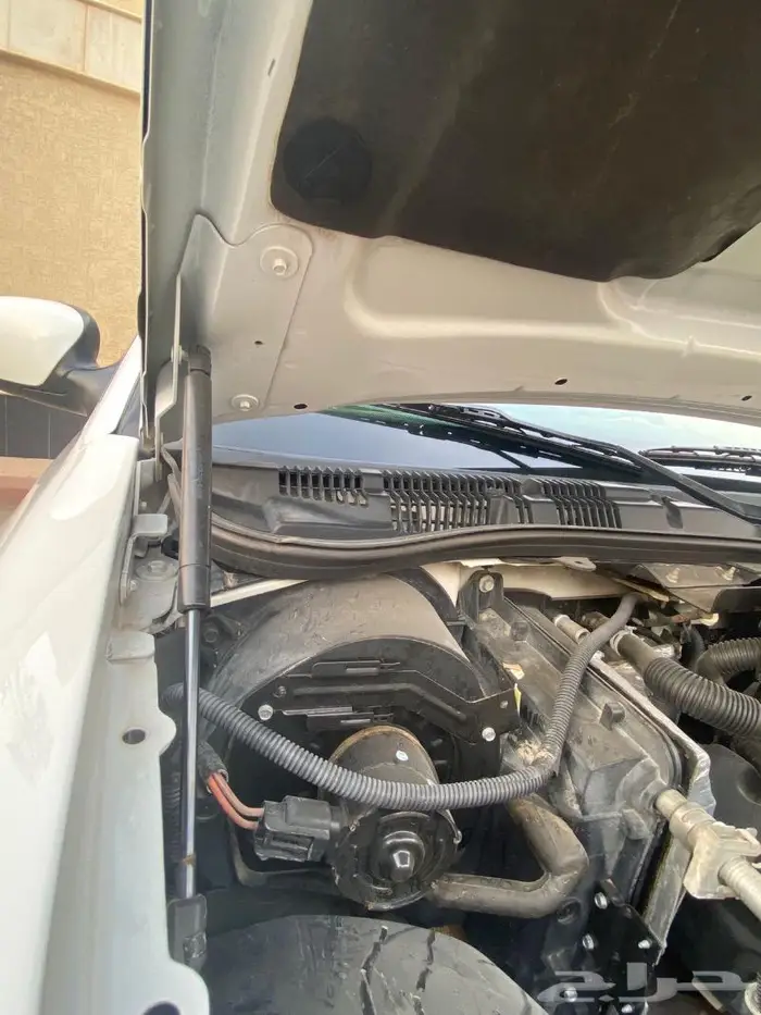 ماركيز 2010 - تم البيع - 19